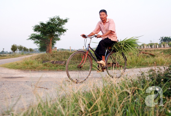 khu sinh thái cẩm đình